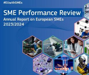 SME perf review 23-24